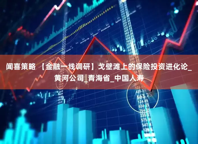 闻喜策略 【金融一线调研】戈壁滩上的保险投资进化论_黄河公司_青海省_中国人寿