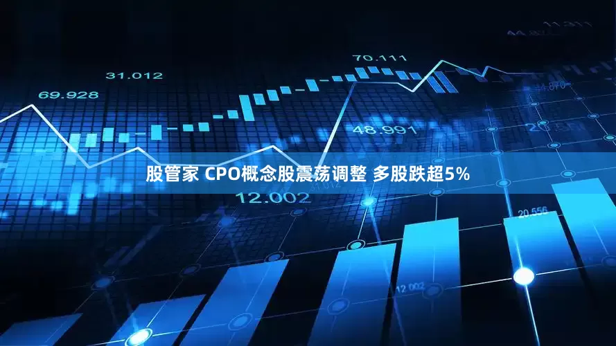 股管家 CPO概念股震荡调整 多股跌超5%