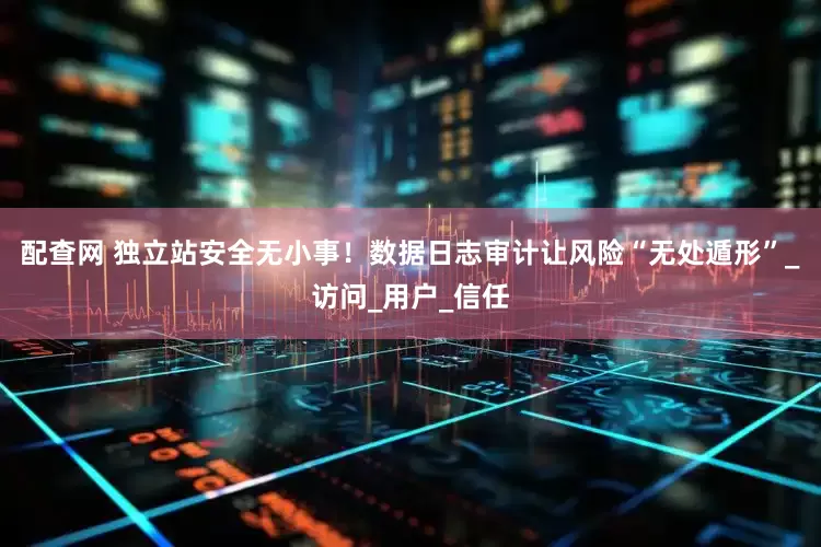 配查网 独立站安全无小事！数据日志审计让风险“无处遁形”_访问_用户_信任