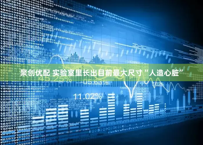 聚创优配 实验室里长出目前最大尺寸“人造心脏”