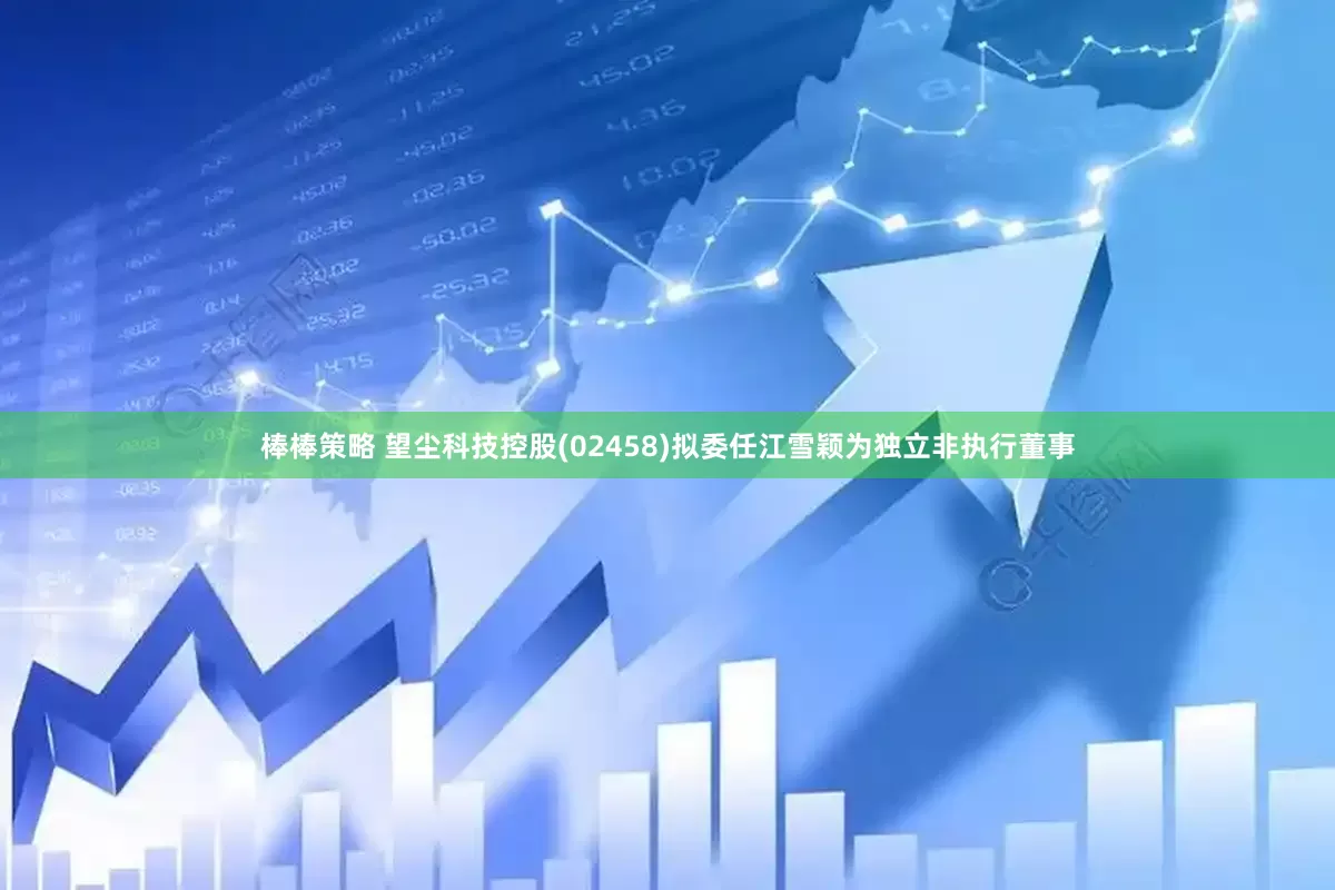 棒棒策略 望尘科技控股(02458)拟委任江雪颖为独立非执行董事