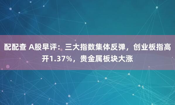 配配查 A股早评：三大指数集体反弹，创业板指高开1.37%，贵金属板块大涨