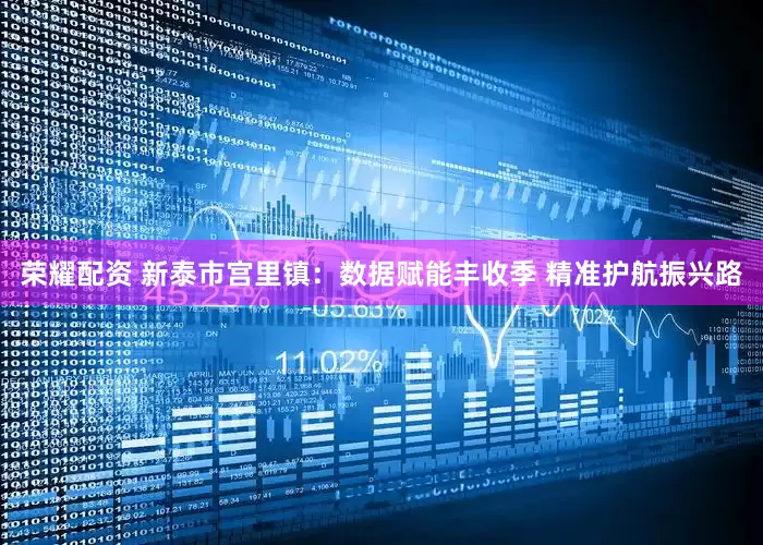 荣耀配资 新泰市宫里镇：数据赋能丰收季 精准护航振兴路