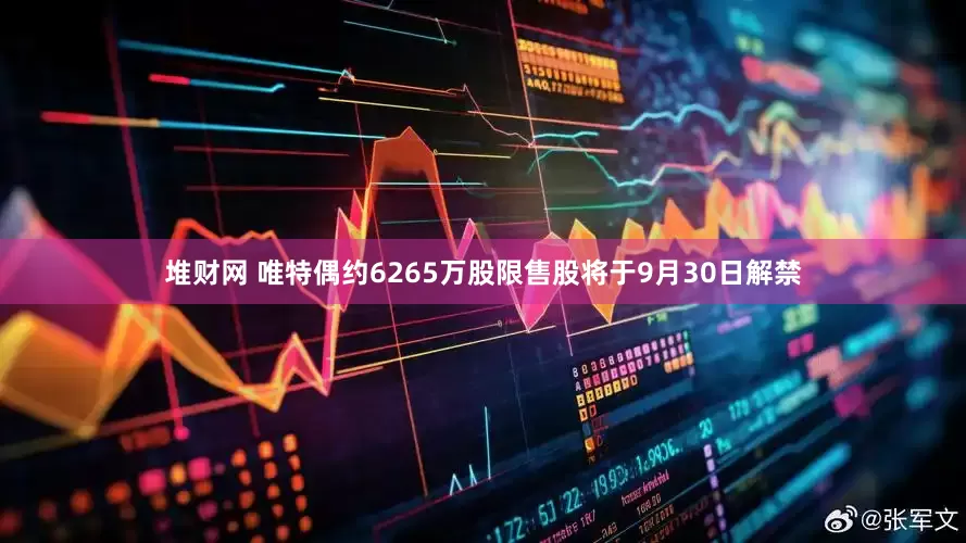 堆财网 唯特偶约6265万股限售股将于9月30日解禁